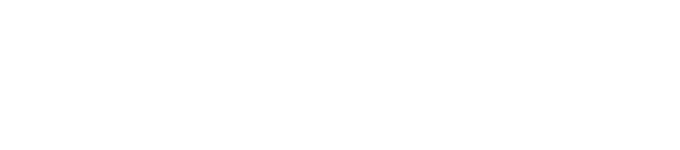 Porches Plus White Logo